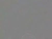 I am here for your enjoyment and I love to have fun. I have an open mind and love to play as only you and I can play together. I love being alone with you. I get so excited. My strongest desire is to make you happy. I know that you will be endlessly happy with me.