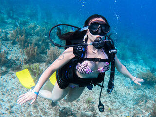 cam girl videochat AliceSampaoli